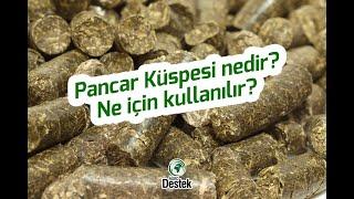 Pancar Küspesi Nedir Ne İçin Kullanılır?