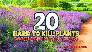 TOP 20 IMPOSSIBLE-TO-KILL PLANTS // Populare in This Years!  // Gardening Ideas