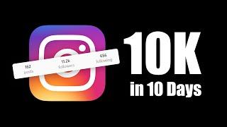 10K Followers Completed in 10 Days FOLLOWERS SPECIAL THANKS Video Edit Without Application | PrinzeE