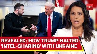 'Stop Taking Americans For Granted': Trump Aide Tulsi Gabbard's FIERY RANT Against Zelensky