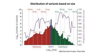 MCB 182 Lecture 12.1 - Introduction to human genetic variation