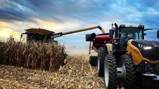 Harvesting Corn and Fixing Grain Legs | Day 4