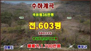 물번,729번) 수하계곡접, 전,603평 200만원 더 내려서 몽땅,1.700만원에 매매합니다, 국유림36만평 뒤로 있으며 전기.물, 큰 문제 없이 해결이 가능합니다, 조립식농막굿