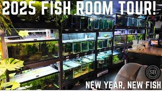 2025 FISH ROOM TOUR! (LOTS OF NEW TANKS AND FISH!) 60+ AQUARIUMS