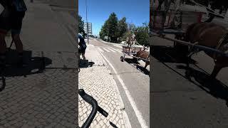 A normal sunny day in Alentejo, Portugal. A horse cart passed us :) #visitportugal #cycling