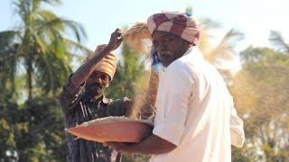 PULSES • an Oxlaey SNAP from INDIA • Sifting lentils