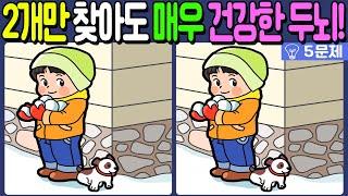 【다른그림찾기/치매예방】차이점 3개 중 2개만 찾아도 초특급 두뇌!【 find difference / 두뇌운동/3개 찾기/5문제/#924】