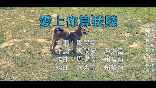 【國語KTV】周湯豪 - 愛上你算我賤 (原聲/伴唱切換)