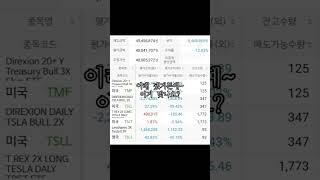 테슬라 TSLT 프로젝트 이랬는데, 요래 됐거든예~이거 맞나요?  #미국주식 #테슬라