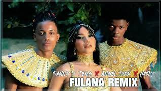 Danny & Temg  Angel Dior  @haslymusic - Fulana Remix (Audio Oficial )