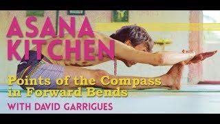 Asana Kitchen: Points of the compass in forward bends with David Garrigues