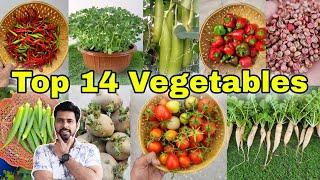 Top 14 vegetables to grow at Home / Garden (English CC)