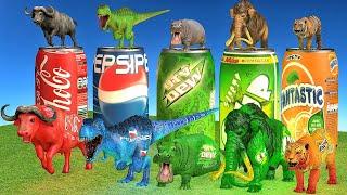 Animals Drink Transformation With Mammoth Gorilla Dinosaur Tiger Escape Room Wild Animals Games