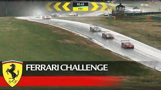 Ferrari Challenge North America – VIR 2021, Coppa Shell Race 1