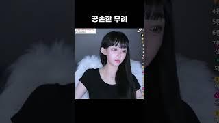 궁금해요오 #bts #트위치 #ㅊㅊ #장원영 #스트리머 #공감 #여캠 #연애 #고양이 #에스파 #사랑 #고민상담