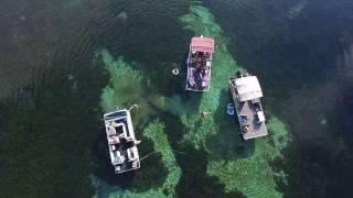 blue spring merritts mill pond marianna, FL in 4K