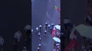 Peter Sagan incredible sprint for the second world title