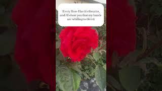 Every Rose Has Its Thorns | A Story of Love, Pain, and Sacrifice#Heartbreak#lovestorysong#spokenword