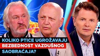 Koliko ptice ugrožavaju bezbednost vazdušnog saobraćaja? Marko Anžel i Stevan Ignjatović I URANAK1