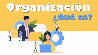 ¿Qué es la Organización Administrativa? Proceso Administrativo