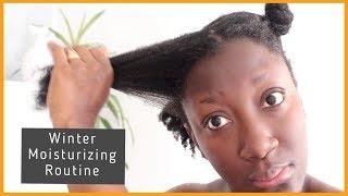 How to || Winter Moisturizing Routine For Thin/Fine Natural Hair || Adede