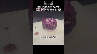 81,000캐럿 루비원석 익산보석박물관에 전시 #보석박물관 #보석특강