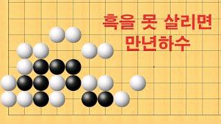 바둑 묘수 사활 - 흑을 못 살리면 만년하수 입니다