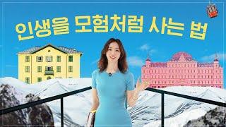 40대, 잊고 살던 꿈을 찾게 한 인생책  ft. 일상을 색다르게 사는 법 Accidentally Wes Anderson