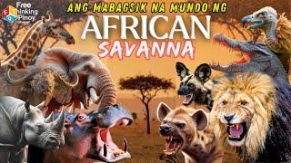 Sino ang Hari ng African Savanna | Dangerous Animals of Africa