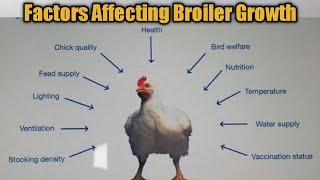 Factors affecting broiler growth | Broiler growth | Broiler | @Dr.Abu-BakarNaeem