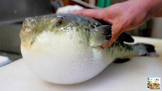 Рыба ФУГУ, Обработка для Сашими / PUFFER Fish Make SASHIMI / ЯПОНИЯ Морепродукты _ Full-HD.mp4