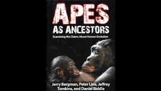 Apes as Ancestors