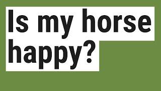 Is my horse happy?