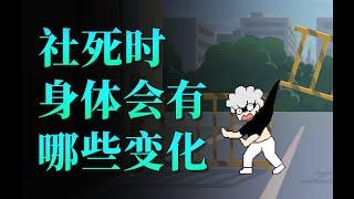 【李白尼】「45」社死时，你的身体会发生哪些变化？