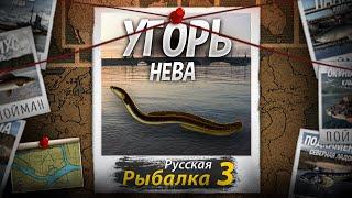 "Мутант" Угорь. Нева 2. Русская Рыбалка 3.