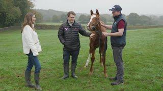 Frankel Own Sister to 2000 Guineas Winner Chaldean to be Offered at Tattersalls December Foal Sale