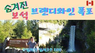 [밴쿠버 공원] 밴쿠버 인근 3대 폭포:숨겨진 보석 브랜디와인 폭포 (Brandywine Falls)풍경과 그곳에서 만난 캐내디언과 인터뷰