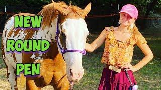 NEW DIY Round Pen Project | Ground Work For Horses