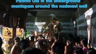 Kanchi Varadarajan at Nadavavi Kinaru  By Prof Ranganathan Srinivasan-13m 16s