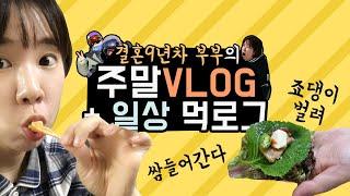 *싸우는거 아님주의* 결혼 9년차 부부의 주말브이로그 + 저녁메뉴 먹로그 부부vlog