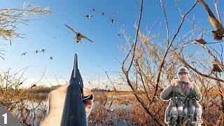 DUCK HUNTING A Hidden WILLOW Pond On Public Land (Limited Out)