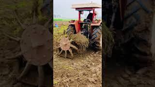 desi jatt #tractor  #tractorshort | small farm tractor discription ️