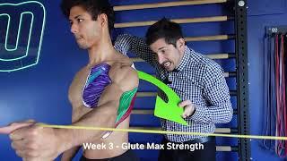 MoveU Shoulders & Arms Program: Build Strength & Prevent Injuries