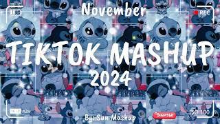 Tiktok Mashup November 2024 (Not Clean)