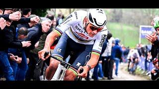 Mathieu Van Der Poel 2024 I The Beast Is Back