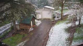 mountainlions2