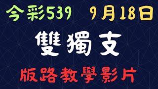 今彩539｜雙獨支｜少年狼539｜9月18日｜版路教學影片