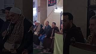 إنشاد حلبي