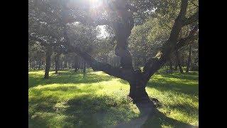 Visit National Park Coto Doñana