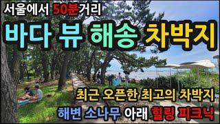 서울에서 50분거리/최근 오픈한 최고의 무료노지캠핑 차박지/해변 소나무 아래 힐링피크닉/ 최신식 화장실 개수대 다 무료입니다